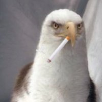 FARMHAND$ (@dad_exotic) 's Twitter Profile Photo FARMHAND$ (@dad_exotic) 's Twitter Profile Photo
