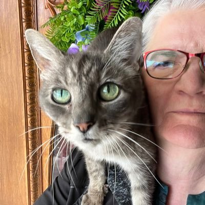 HeyWeGotThis's profile picture. Childless cat lady. I ❤️ cats, dogs, animals, our beautiful world and all her people, and the Father who made us all. No DMs. I use X for my curated news lists.