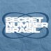 SECRET NUMBER BRASIL (@secretnumber_br) Twitter profile photo SECRET NUMBER BRASIL (@secretnumber_br) Twitter profile photo