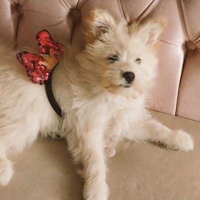 KibeRoxanne's profile picture. 