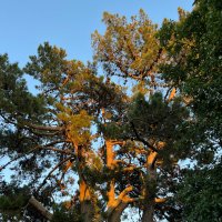 Tim Richardson (@timrichardson9) 's Twitter Profile Photo