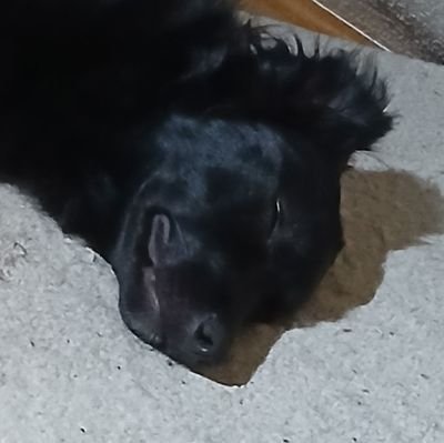 Ti2an_FCB's profile picture. Visca Barça