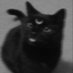 MARIE ☪️ // inactive (@xstringb3anx) Twitter profile photo MARIE ☪️ // inactive (@xstringb3anx) Twitter profile photo