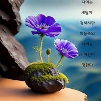 산빛1 (@yeongae89927) 's Twitter Profile Photo