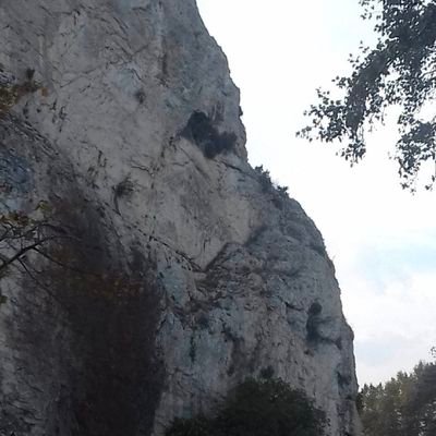 zazougates's profile picture. 