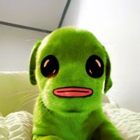 FWILLY (@flogthewilly) 's Twitter Profile Photo FWILLY (@flogthewilly) 's Twitter Profile Photo