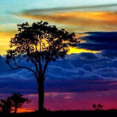 mgll_83's profile picture. Caraqueño, Odio los Lunes (es algo de nacimiento). Relacionista Industrial y Abogado.  OPOSITOR 100%  - Sobreviviendo en Venezuela