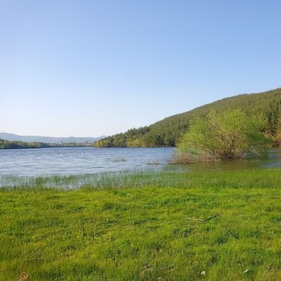 FATH452's profile picture. LHDR45