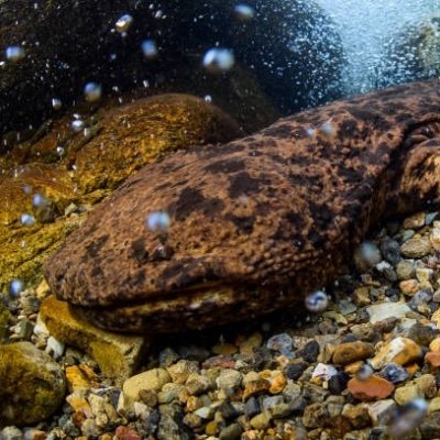 Ryutaku_an's profile picture. ひっそり暮らす還暦過ぎ。