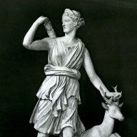 artemis #human#notAI (@artemis0801) 's Twitter Profile