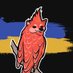 Cardinal Birds 🇺🇦 (@cardinal_birds) Twitter profile photo Cardinal Birds 🇺🇦 (@cardinal_birds) Twitter profile photo