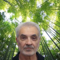Nick Dimopoulos (@nickdimopoulos2) 's Twitter Profile