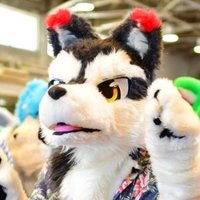 カエデ🍁🐾 (@majpn) Twitter profile photo