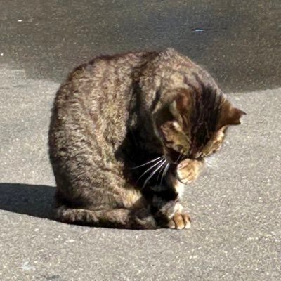 ポケモンユナイト ゼラオラ現5位です。 YouTube(https://t.co/VaTKpNfsns) Mirrativ(https://t.co/33I6K5XVDl)