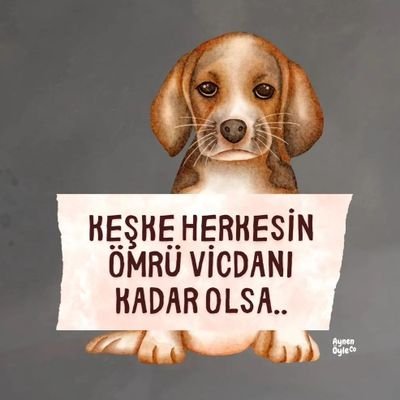 yigitrader's profile picture. 