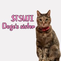 tsutsuji (@tsutsujierc20) 's Twitter Profile