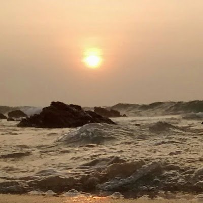 BharadwajAryaso's profile picture. 