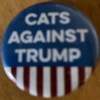 Steph &KitTen & Missy 🌈Bailey OTRB🐲 🇹🇭🇺🇸 (@smartasskitties) 's Twitter Profile Photo Steph &KitTen & Missy 🌈Bailey OTRB🐲 🇹🇭🇺🇸 (@smartasskitties) 's Twitter Profile Photo