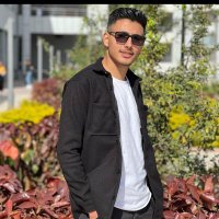 Hossam Ibrahim (@hossami75) 's Twitter Profile