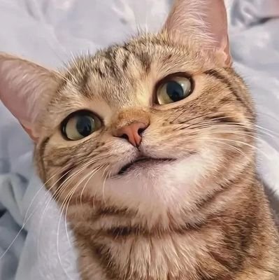 万垢何故か凍結しちゃいました😭好きなものはカフェオレと猫ちゃんです🐾明るいことが好き、暗いニュースは悲しくなります🥲気軽に絡んでもらえると嬉しいです✨