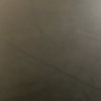 SSZ (@cdshansz) 's Twitter Profile