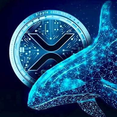 Where we’re going, we don’t need roads! $Qubic $XDC 🚀🏝️