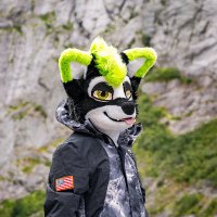 StarFoxCoon VACON Design (@starfoxcoon) 's Twitter Profile