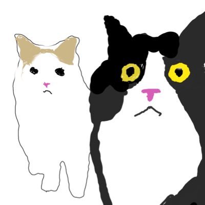 🐈⬛クロイ♂2022.4.20🐈おしろさん♀2022.10.27🐾🐾大きいから売れ残っただと?ってことで2024.6にお迎え💕ぬし猫派の元トリマー 広く浅く千里の道も一歩だけ🐾ただの猫自慢&観察日記🔍映えたいインスタ🔰DM🆖
