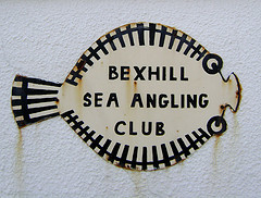 Bexhill Sea Angling Club - is a small fishing club that's been based in bexhill since 1912. The club has a beach and boat fishing membership.