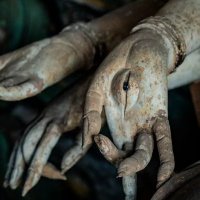 沈 (@ury0llyaxq12490) 's Twitter Profile Photo