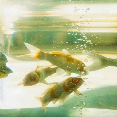 HanHan__09's profile picture. Chovy #GENGWIN | @hanri_n2