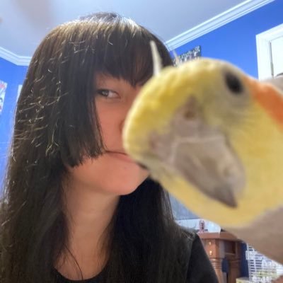 Bruxaさんのプロフィール画像