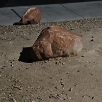 ciggsaddiction (@ciggsadiction) 's Twitter Profile