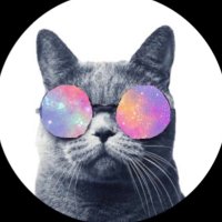 Hachi (@galloc_h) 's Twitter Profile