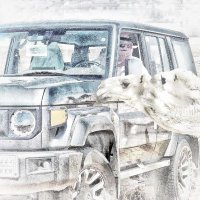 سالم الصنهات (@salem_alsunhat) 's Twitter Profile