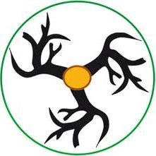 Brainforest, ONG de droit gabonais qui travaille sur la problématique Forêt – Environnement. Mission : informer et accompagner toutes les parties prenantes.