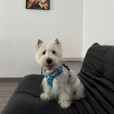 Allen00125's profile picture. 