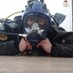 Belgian diver 🇧🇪🤿 (@belgiandiver24) Twitter profile photo Belgian diver 🇧🇪🤿 (@belgiandiver24) Twitter profile photo