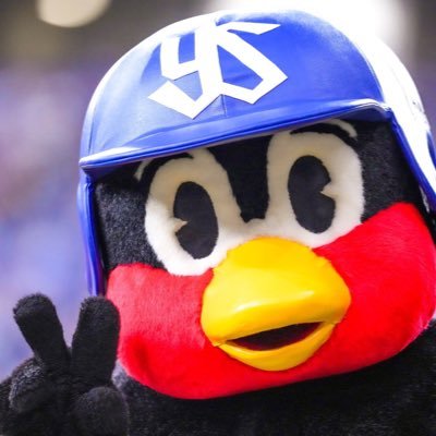 Syo___0725's profile picture. 08野球部 TS高校ヤクルトファン2014から セ・ヤクルト