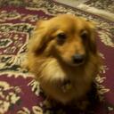 Justin MacNeil - @whatever7890 - Twitter