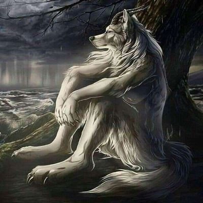 ambrosiaxclaws's profile picture. he/they 19 🔞 I love men and men who love men |
proship dni