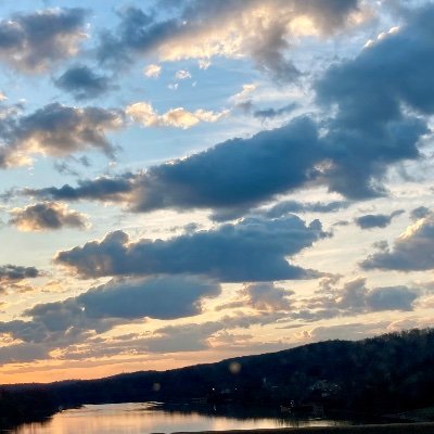 NEI492458's profile picture. 