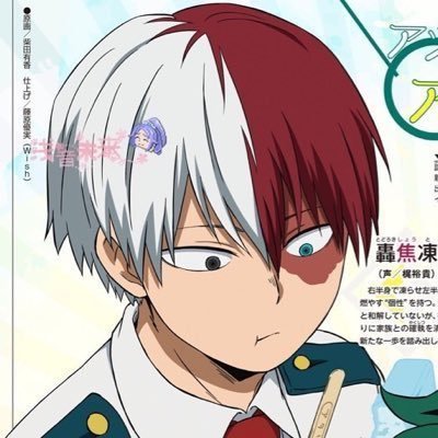(solo activa para los memes) ♡ 𖦹 . . you love me ? sorry, i only love Shoto Todoroki and Blackpink! ★