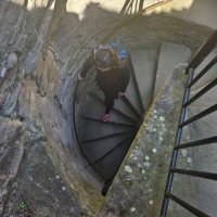 Jemma K Stephenson (@jk_stephenson) 's Twitter Profile