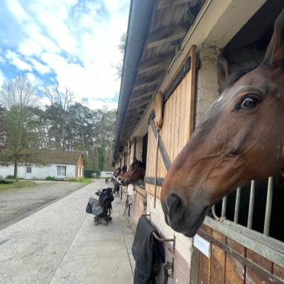 fireflies911's profile picture. "Violence is a form of cinematic entertainment" Quentin Tarantino🎥 Un cinéphile passionné 🙈