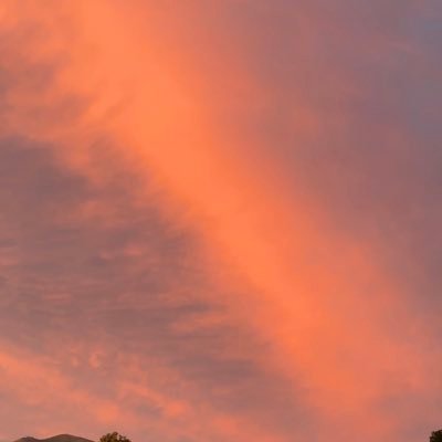 storietimeee's profile picture. feral philosopher