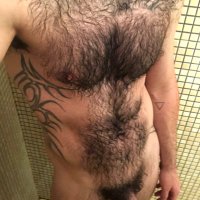 Simpliccius (@simpliccius) 's Twitter Profile