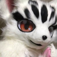 ใชใใซ๐ฐ (@ricca_pomf) 's Twitter Profile
