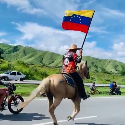 _____blitz_____'s profile picture. Políticamente incorrecto