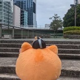 greengaoka's profile picture. 好きな人たちに元気でいてほしい壁打ちおたくアカウント／星野源／野木亜紀子関連作品／最近は寝ても覚めてもこたけ正義感さんのこと(お笑いは初心者)